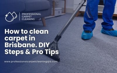 How to Clean Carpet in Brisbane: Step-by-Step Guide 2026
