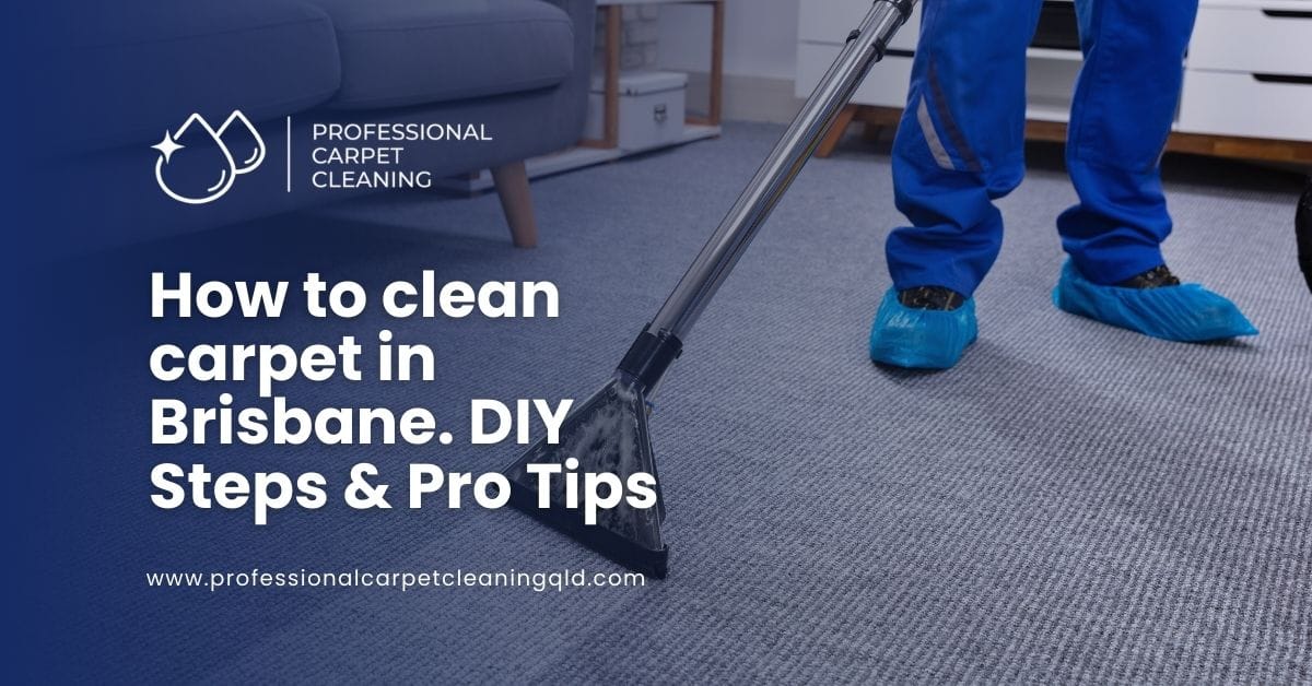 how to clean carpet in brisbane how to clean carpet in brisbane