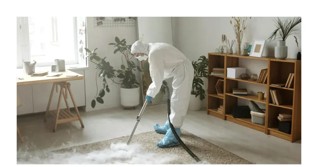 professional carpet cleaning