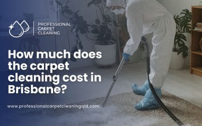 How Much Does Carpet Cleaning Cost in Brisbane? Complete Price Breakdown