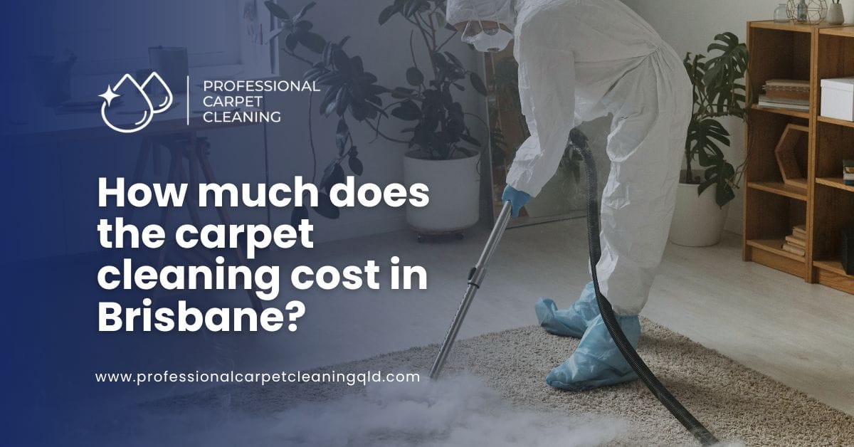 carpet cleaning cost brisbane carpet cleaning cost brisbane